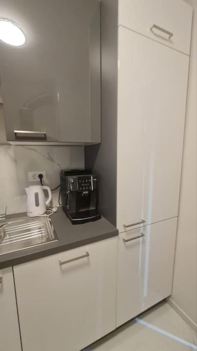 Mias Luxury Apartment Rijeka Eksteriør billede